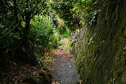 ���������꡼ No.033�Υ���ͥ������ / ͷ�Ӥʤ����������Τ������������ॢ�ץ�֤ޤ�äȡ�������פȤȤ�������Υ��˹ԤäƤ��ޤ�����PR��