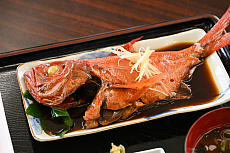 ���������꡼ No.038�Υ���ͥ������ / ͷ�Ӥʤ����������Τ������������ॢ�ץ�֤ޤ�äȡ�������פȤȤ�������Υ��˹ԤäƤ��ޤ�����PR��