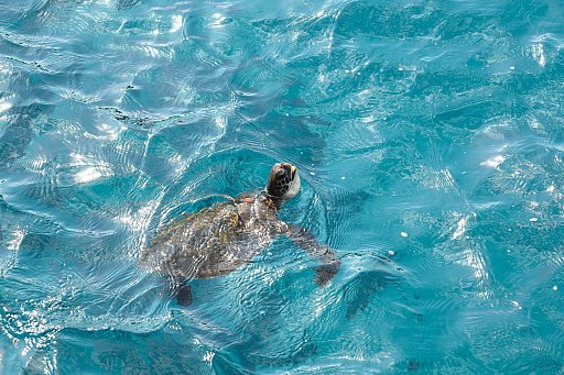 ���������꡼ No.045�Υ���ͥ������ / ͷ�Ӥʤ����������Τ������������ॢ�ץ�֤ޤ�äȡ�������פȤȤ�������Υ��˹ԤäƤ��ޤ�����PR��