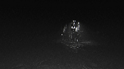 ��̴�Τ褦�������Ǥ���