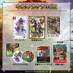 ꡼ No.022 | ֥磻ޥ󥺥 ȥ饤ȯ䡣쥳2010ǯȯ䤷DSѥեȤ˿ӥ奢俷ʤʤɤɲäե