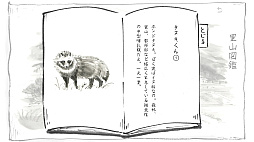 里山のおと 夏草こみち