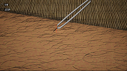 �������̤�