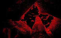 MR 333 II: Planetbirth