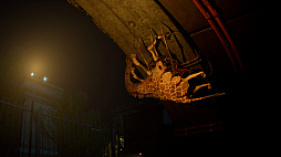 ���������꡼ No.006�Υ���ͥ������ / ���ưʪ�ब�����PC�����ۥ顼�����Zoochosis��ȯɽ���ߥ塼����Ȳ�����ưʪ�������Ť���ưʪ�����̩���������