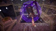 ꡼ No.023Υͥ / νͤȥ󥸥ĩ֥ե -EXPHYSIA-ס꡼Ǥ1Steamǥ꡼θǤۿ