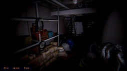 画像ギャラリー No.007のサムネイル画像 / 最大4人の隊員で6000トン級の旅客船に潜入し,宗教儀式の調査をするサバイバルホラー「SAVE」,早期アクセスを開始