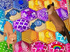 ͥ󤬵褦˥Ȥ˥夲褦ǥܡɥ֥ꥳ ۤޤͥȥѥåסSteamȯ