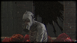 ꡼ No.004 | ֥ХϥɡפʤȤǥȥԥХХۥ顼PlastomorphosisסSteamۿ