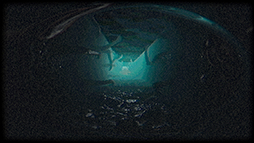 ꡼ No.005 | ֥ХϥɡפʤȤǥȥԥХХۥ顼PlastomorphosisסSteamۿ