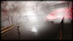 ꡼ No.008 | ֥ХϥɡפʤȤǥȥԥХХۥ顼PlastomorphosisסSteamۿ