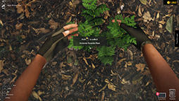 画像ギャラリー No.007のサムネイル画像 / 岩や植物を自分で採集して理想の水槽を作るゲーム「Aquascapers」,日本語に対応。SNSでの反響を受けて翻訳を実施