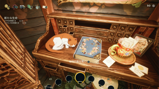 ꡼ No.002 | Υץ쥤ݡϿ䤷顼줷ǥäƤĤ㤦 ֥ǥ饤:̴Ĥפϻ֤˺ƬǤݥ