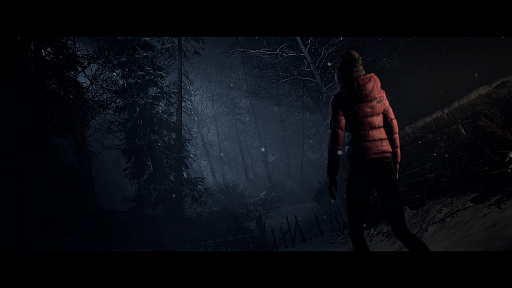 ꡼ No.003 | ȯȤʤᥤǡUntil Dawn ݻλݡפΥȥ쥤顼