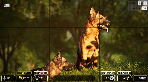 ꡼ No.004 | ƤϤưʪõSNSǤθήڤ롣Photography SimulatorפΥǥǤSteam Next Festۿ