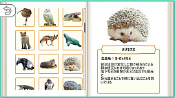 �������ɤ��֤Ŀ޴� DX