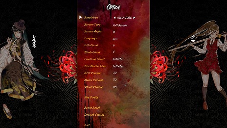 ���������꡼ No.011�Υ���ͥ������ / �������ե��󥿥�������STG�ֿ����� ��ɴ���������Steam���ۿ����ϡ����᡼��������ʤ������١֥��ȡ��꡼�פ��ɲ�