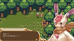 ���ۥ����˥���