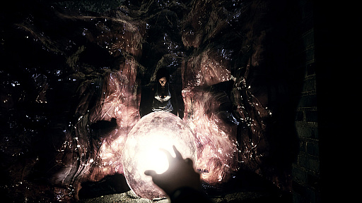 ���������꡼ No.002�Υ���ͥ������ / PS5���ѤΥۥ顼���ɥ٥���㡼��Shines Over: The Damned�ס�2024ǯ�ե�꡼����1ɤ�θ��򤪶��ˡ��Ե�̣��������õ��