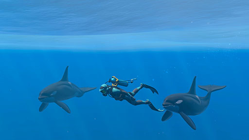 ꡼ No.002Υͥ / СȤʤäƳˤ500ʾʪȽв񤨤FOREVER BLUE LUMINOUSסȤƼﵡǽξҲ