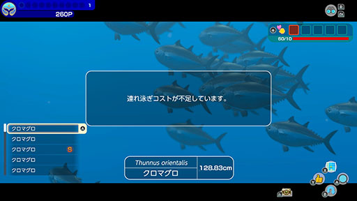 ꡼ No.004Υͥ / СȤʤäƳˤ500ʾʪȽв񤨤FOREVER BLUE LUMINOUSסȤƼﵡǽξҲ