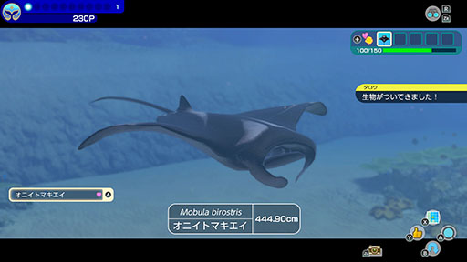 ꡼ No.005Υͥ / СȤʤäƳˤ500ʾʪȽв񤨤FOREVER BLUE LUMINOUSסȤƼﵡǽξҲ