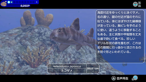 ꡼ No.007Υͥ / СȤʤäƳˤ500ʾʪȽв񤨤FOREVER BLUE LUMINOUSסȤƼﵡǽξҲ