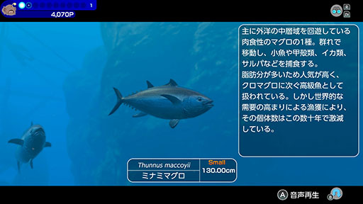 ꡼ No.008Υͥ / СȤʤäƳˤ500ʾʪȽв񤨤FOREVER BLUE LUMINOUSסȤƼﵡǽξҲ