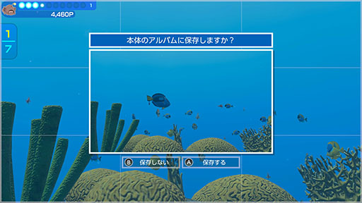 ꡼ No.012Υͥ / СȤʤäƳˤ500ʾʪȽв񤨤FOREVER BLUE LUMINOUSסȤƼﵡǽξҲ