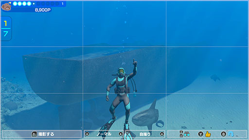 ꡼ No.013Υͥ / СȤʤäƳˤ500ʾʪȽв񤨤FOREVER BLUE LUMINOUSסȤƼﵡǽξҲ