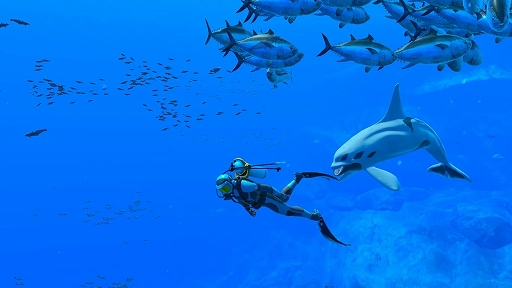 画像ギャラリー No.003のサムネイル画像 / 「FOREVER BLUE LUMINOUS」,遭遇する生き物や,みんなでダイビングの様子などを確認できる紹介映像を公開。2種類のCM映像も