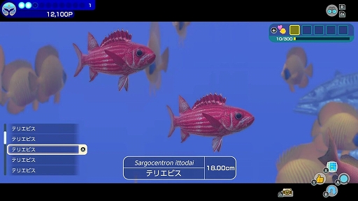 画像ギャラリー No.007のサムネイル画像 / 「FOREVER BLUE LUMINOUS」,遭遇する生き物や,みんなでダイビングの様子などを確認できる紹介映像を公開。2種類のCM映像も