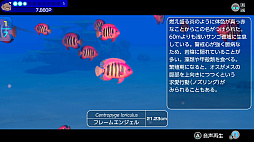 ꡼ No.003 | ںΥ١ۺ30ͤǳõǤFOREVER BLUE LUMINOUSפ䡤쥷FOUNDRYפȯ䤵 2024ǯ42955