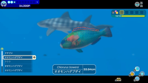 ꡼ No.015 | Υץ쥤ݡϡFOREVER BLUE LUMINOUSפǿŪʥӥθ򡣥١ɳǤγ滶϶äȽв񤤤Ƥ