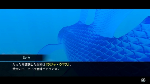 ꡼ No.024 | Υץ쥤ݡϡFOREVER BLUE LUMINOUSפǿŪʥӥθ򡣥١ɳǤγ滶϶äȽв񤤤Ƥ