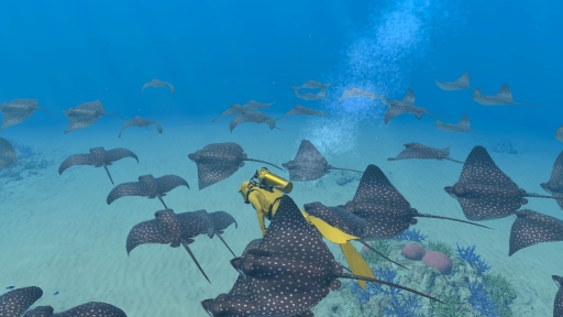 ꡼ No.026 | Υץ쥤ݡϡFOREVER BLUE LUMINOUSפǿŪʥӥθ򡣥١ɳǤγ滶϶äȽв񤤤Ƥ