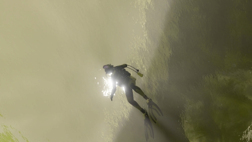 ꡼ No.028 | Υץ쥤ݡϡFOREVER BLUE LUMINOUSפǿŪʥӥθ򡣥١ɳǤγ滶϶äȽв񤤤Ƥ