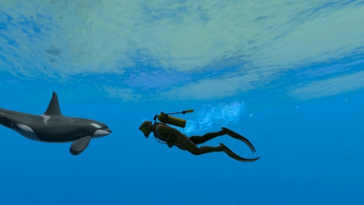 ꡼ No.029 | Υץ쥤ݡϡFOREVER BLUE LUMINOUSפǿŪʥӥθ򡣥١ɳǤγ滶϶äȽв񤤤Ƥ