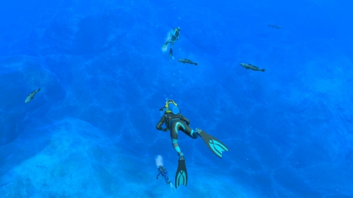 ꡼ No.045 | Υץ쥤ݡϡFOREVER BLUE LUMINOUSפǿŪʥӥθ򡣥١ɳǤγ滶϶äȽв񤤤Ƥ