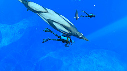 ꡼ No.047 | Υץ쥤ݡϡFOREVER BLUE LUMINOUSפǿŪʥӥθ򡣥١ɳǤγ滶϶äȽв񤤤Ƥ