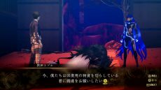 ꡼ No.021 | ֿžV Vengeanceס͸ΰǤĴҲ𤹤ǿ