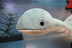 ���������꡼ No.066�Υ���ͥ������ / �ֳرॢ���ɥ�ޥ������פ���ϡ�ƣ�Ĥ��ȤͤΥץ饤���ե����奢�⡣�֥Х�ץ쥹�ȥ֥��ɿ������⸫��ץե��ȥ�ݡ���