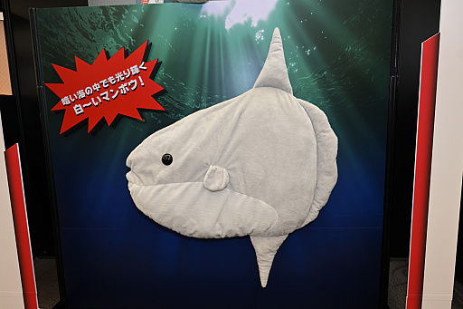 ���������꡼ No.067�Υ���ͥ������ / �ֳرॢ���ɥ�ޥ������פ���ϡ�ƣ�Ĥ��ȤͤΥץ饤���ե����奢�⡣�֥Х�ץ쥹�ȥ֥��ɿ������⸫��ץե��ȥ�ݡ���