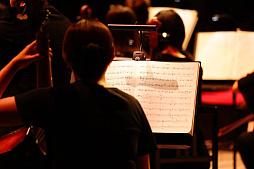 ꡼ No.003 | ֥ޥ2025λİݡȡޥ꡼20ǯˤڥȥդǿ֤