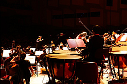 ꡼ No.004 | ֥ޥ2025λİݡȡޥ꡼20ǯˤڥȥդǿ֤