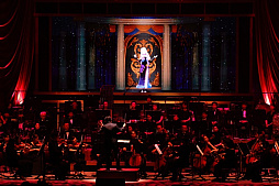 ꡼ No.011 | ֥ޥ2025λİݡȡޥ꡼20ǯˤڥȥդǿ֤