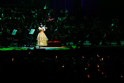 ꡼ No.013 | ֥ޥ2025λİݡȡޥ꡼20ǯˤڥȥդǿ֤