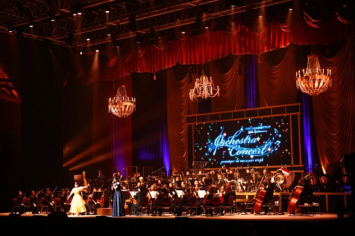 ꡼ No.018 | ֥ޥ2025λİݡȡޥ꡼20ǯˤڥȥդǿ֤