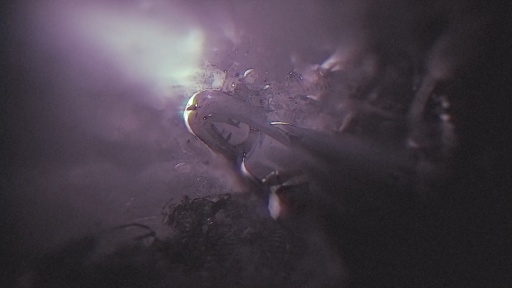 ���������꡼ No.037�Υ���ͥ������ / �Υץ쥤��ݡϡ֥�������ޥ��Υꥢ: �֥롼�।�󥶥ߥ��ȡ�������꡼�����Ȱ���Ū�˹�ɾ�ɥ�ȥ����ɥ����˥����������������Фơ�����˽���