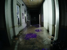 ꡼ No.010 | Pok&#233;mon LEGENDS Z-Aפо줹֥ᥬĥܥåȡפξҲˡ󥯥ϤϲդΰϤ򼨤ȱաɤʱ